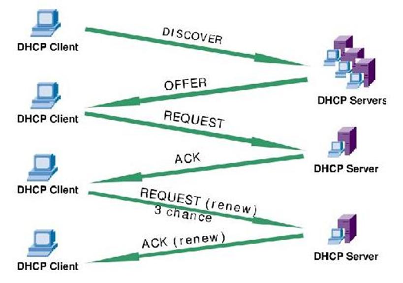 常用应用服务器网络服务模式,网络服务器应用程序视频