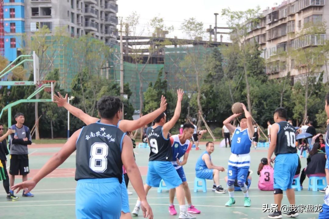 爱打篮球能考什么学校,爱打篮球吗