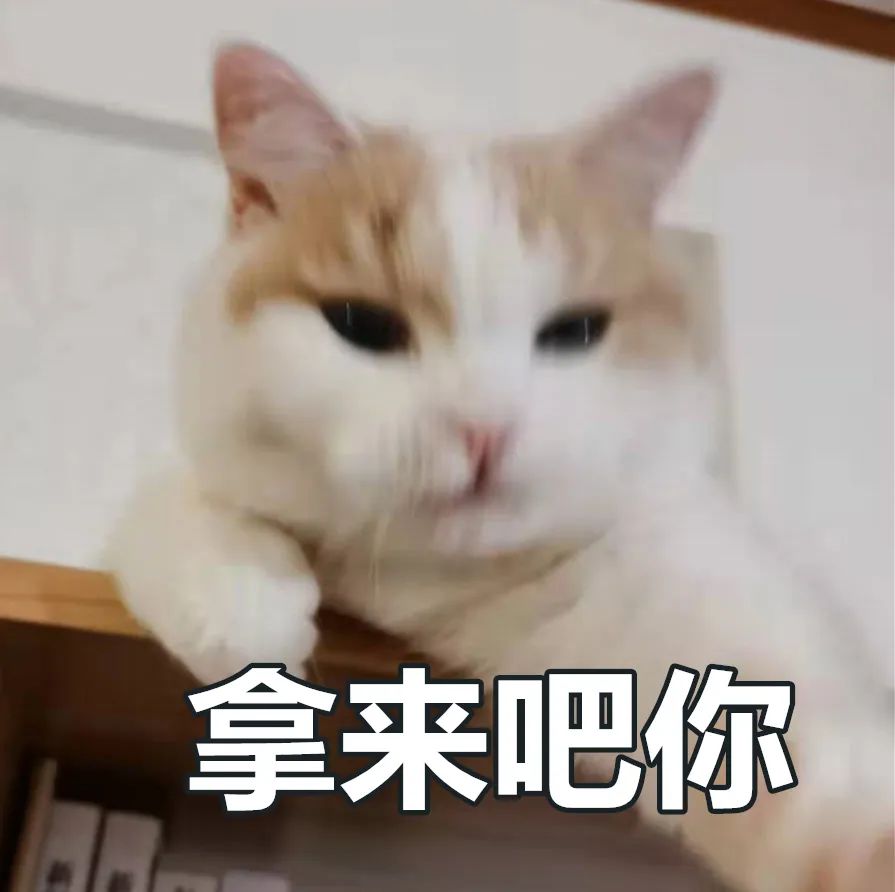 厦门定向生政策会看市排名吗,厦门高中定向生条件