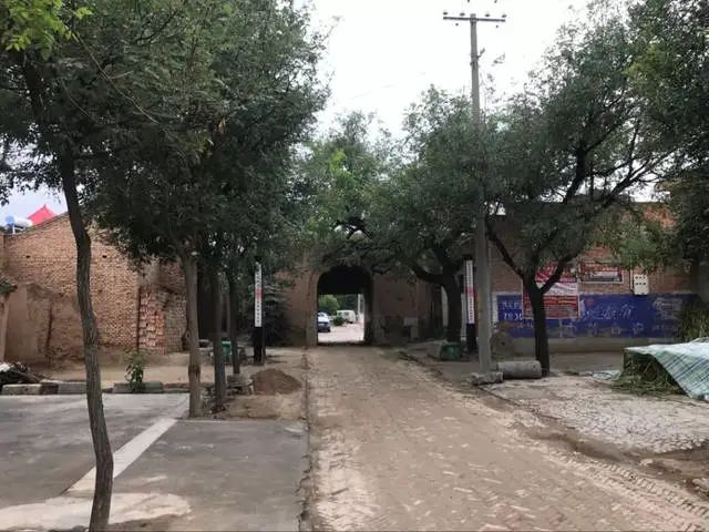 三和三棵树作家陈辉