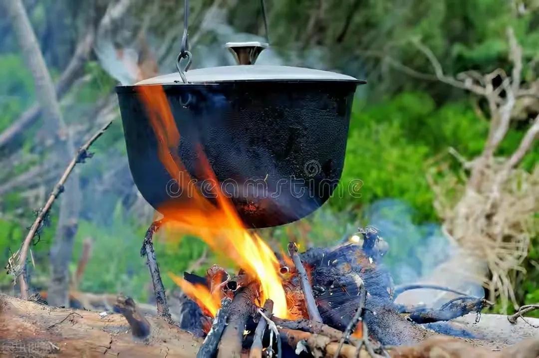 肾阳虚，尿频？5味中药，补肾阳，暖肾元，固精缩尿