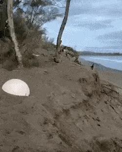 足球动图搞笑,足球踢飞的搞笑动图