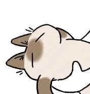 怎么预防孕妇甲肝,戊肝病毒感染危害大吗