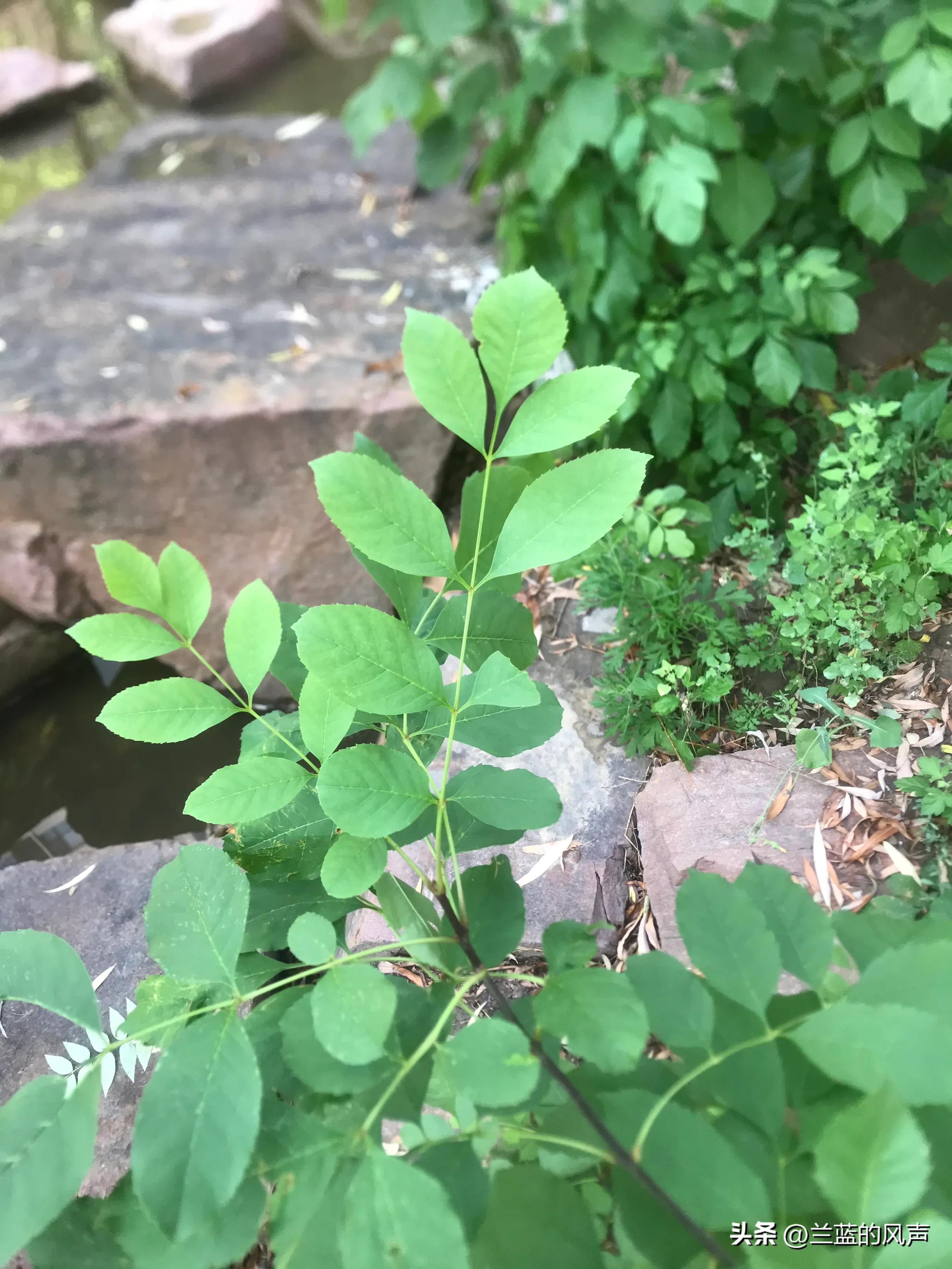 励志情感语录人生感悟,励志情感语录文案