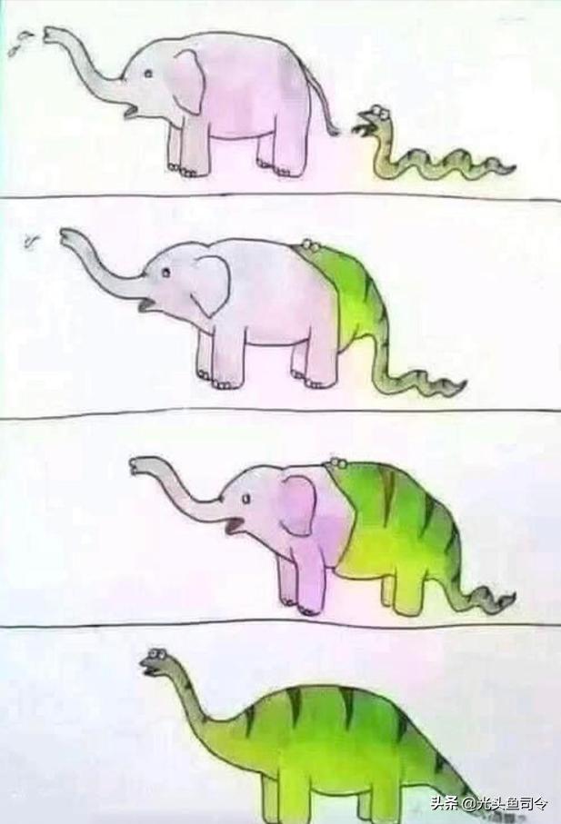 缅甸蟒长大后的天敌除了人有哪些,缅甸蟒喜欢什么样栖息环境