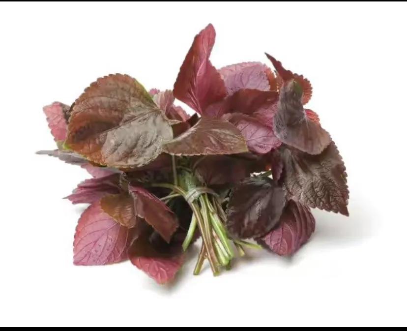 吃小龙虾中毒，不能怪小龙虾，只能怪你自己没做到这几点