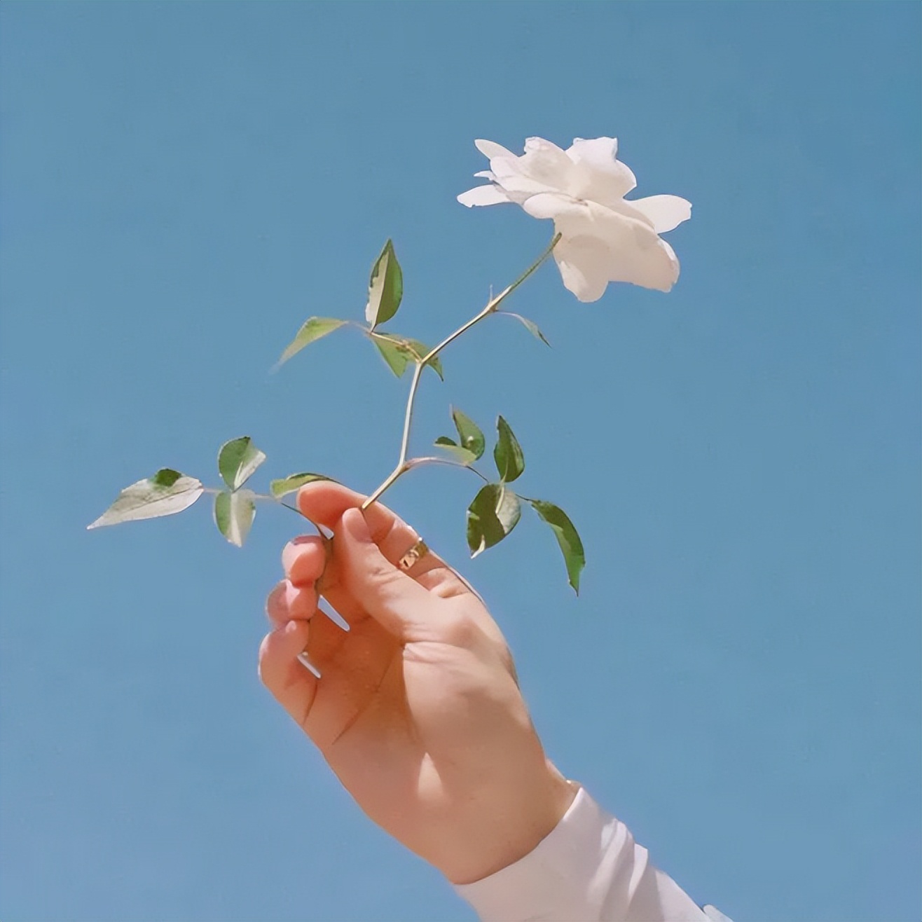 一个男人不找你你还要主动找他吗,男人不联系你也不拉黑你怎么回事