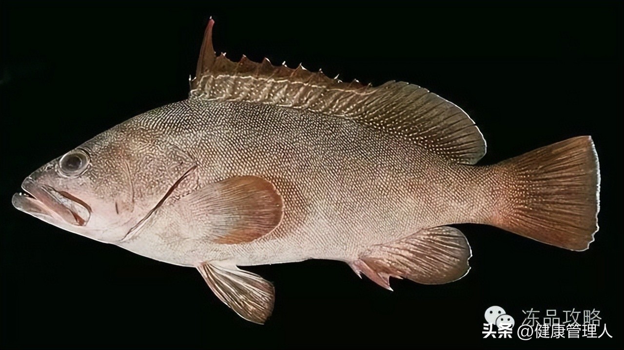 美容护肤食疗方案,美容护肤养生介绍