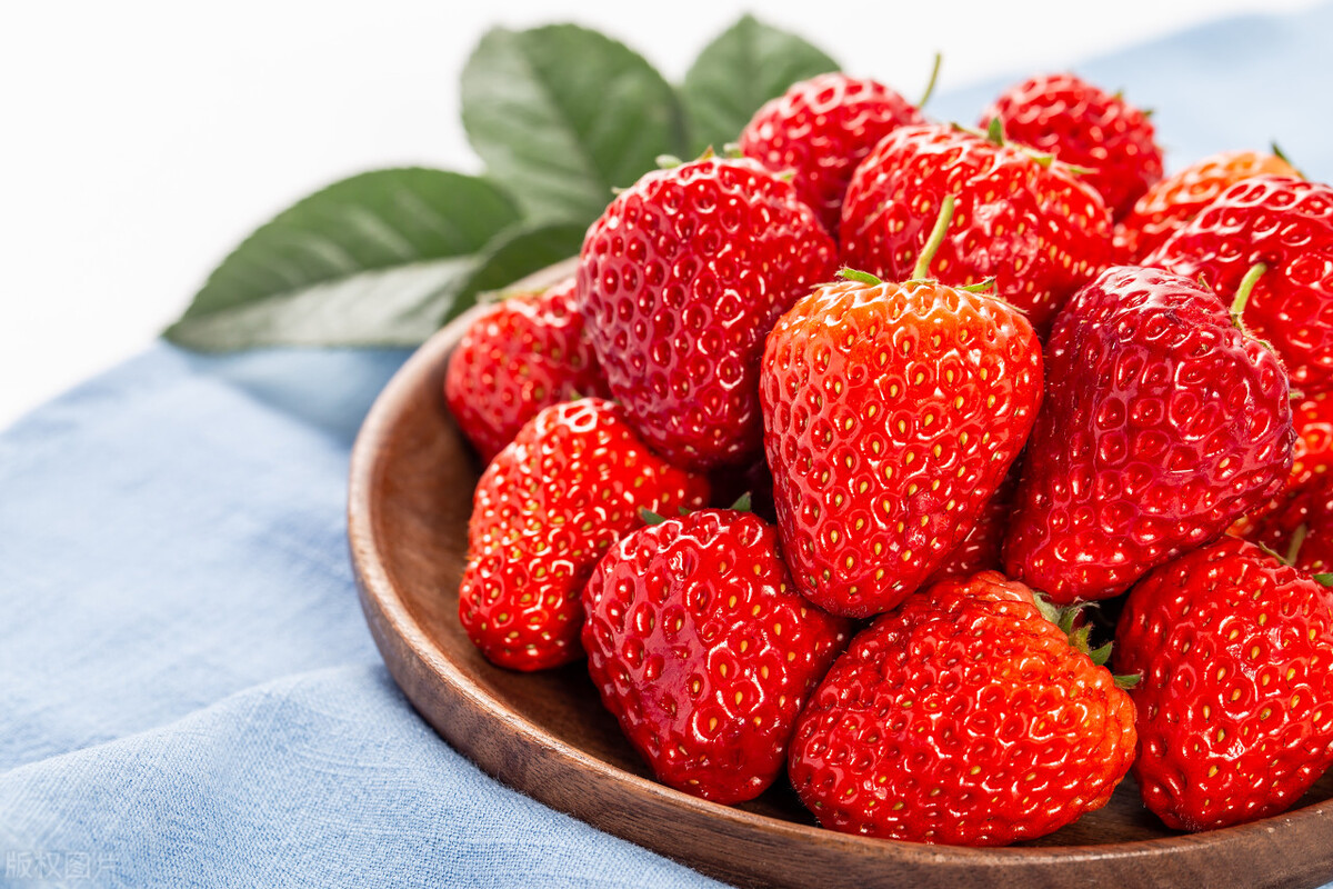 虎皮鹦鹉不吃水果和蔬菜怎么办,鹦鹉为什么不吃蔬菜和水果