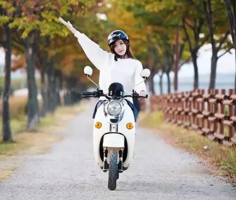 电动车双碟刹好还是双鼓刹好,电动车是双碟刹还是单碟刹好