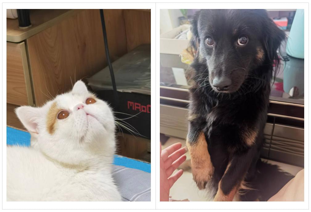 从电焊工到小镇作家，这个95后在番茄小说奔赴人生“自由”