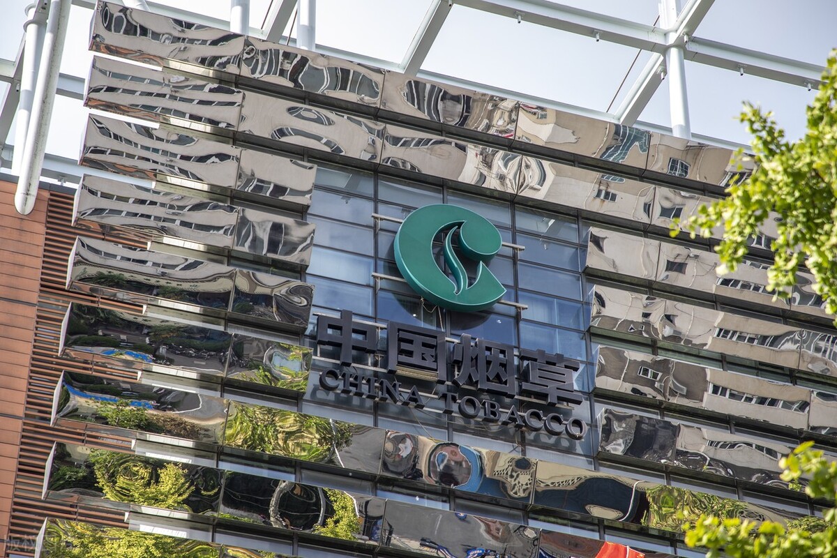 *子烟电**女王三年赚了3000亿，最后却败给了一张“A4纸”