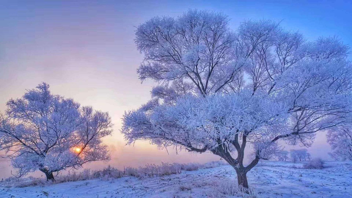 净水器冬季用不用放水防冻,净水器内部如何排水防冻