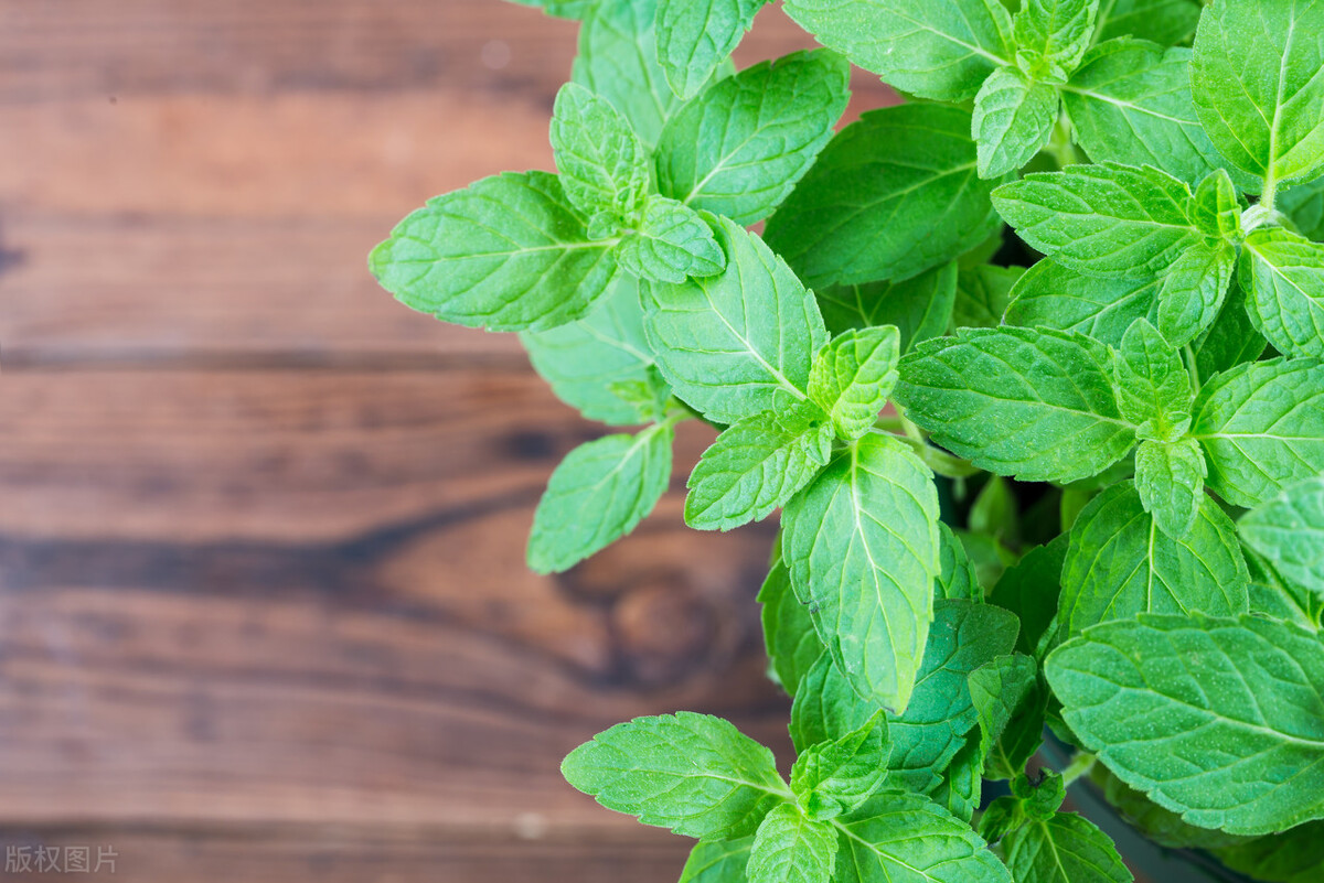 痛风性膝关节炎治愈案例,痛风性关节炎中医治疗