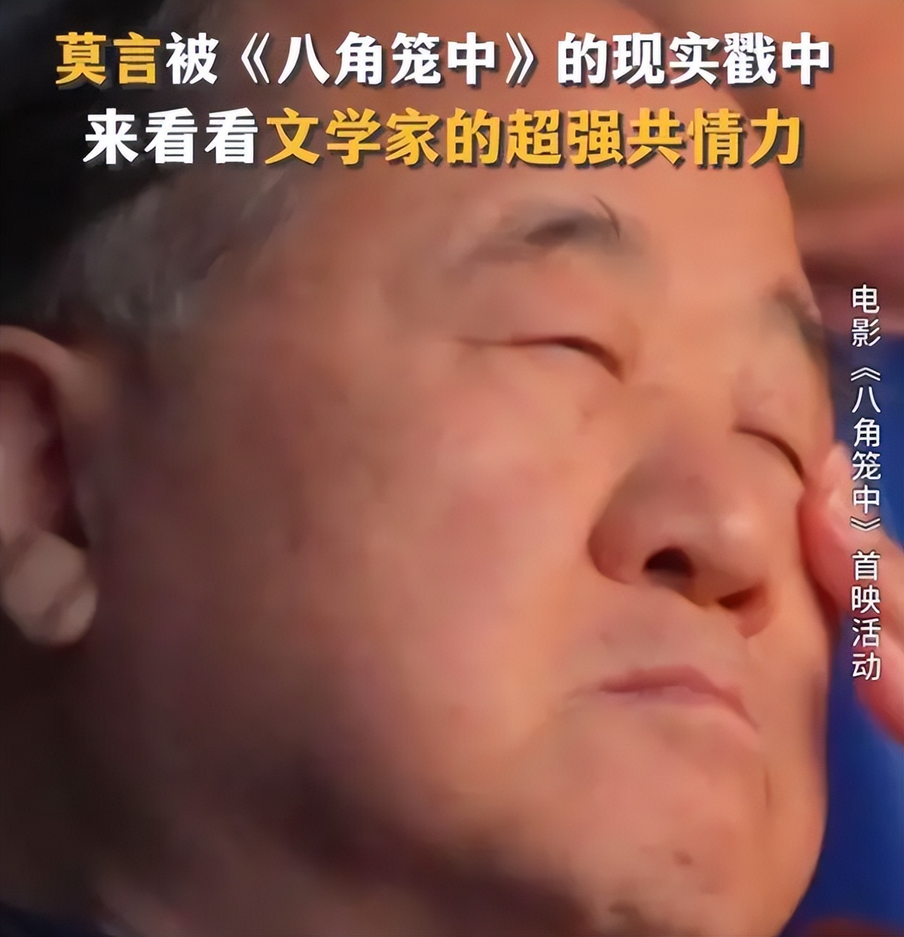 王宝强深度解析,王宝强成功的奥秘