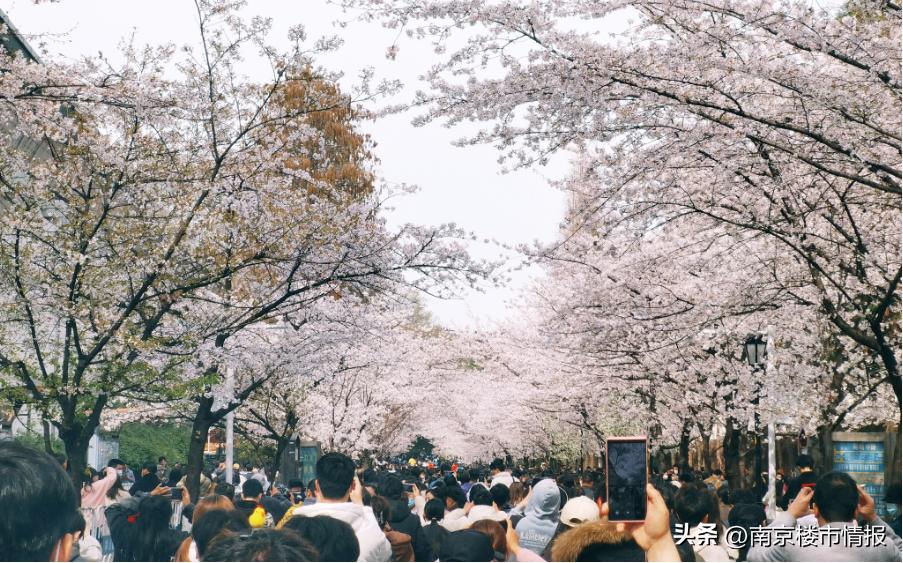 南京可以排第一位吗,南京主城区全国第一