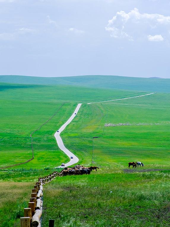 向北向北！|“美”在内蒙古
