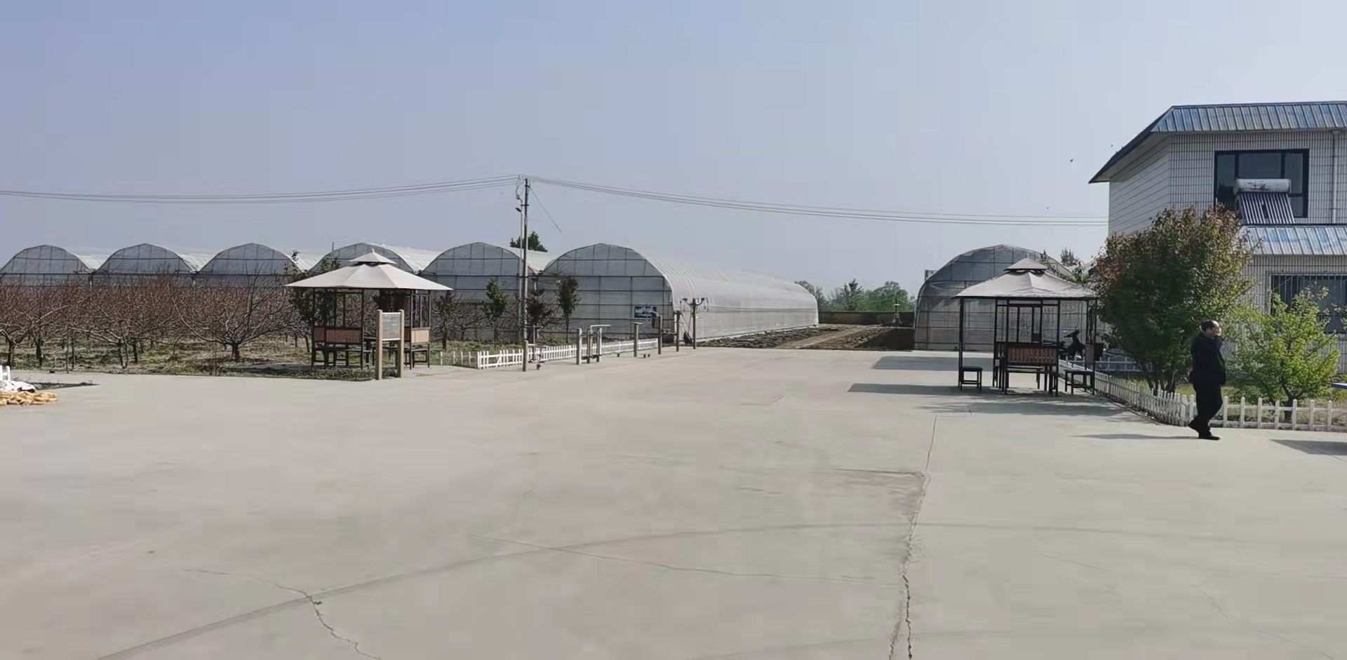 艺术节的四大天王,全球四大天王巨星