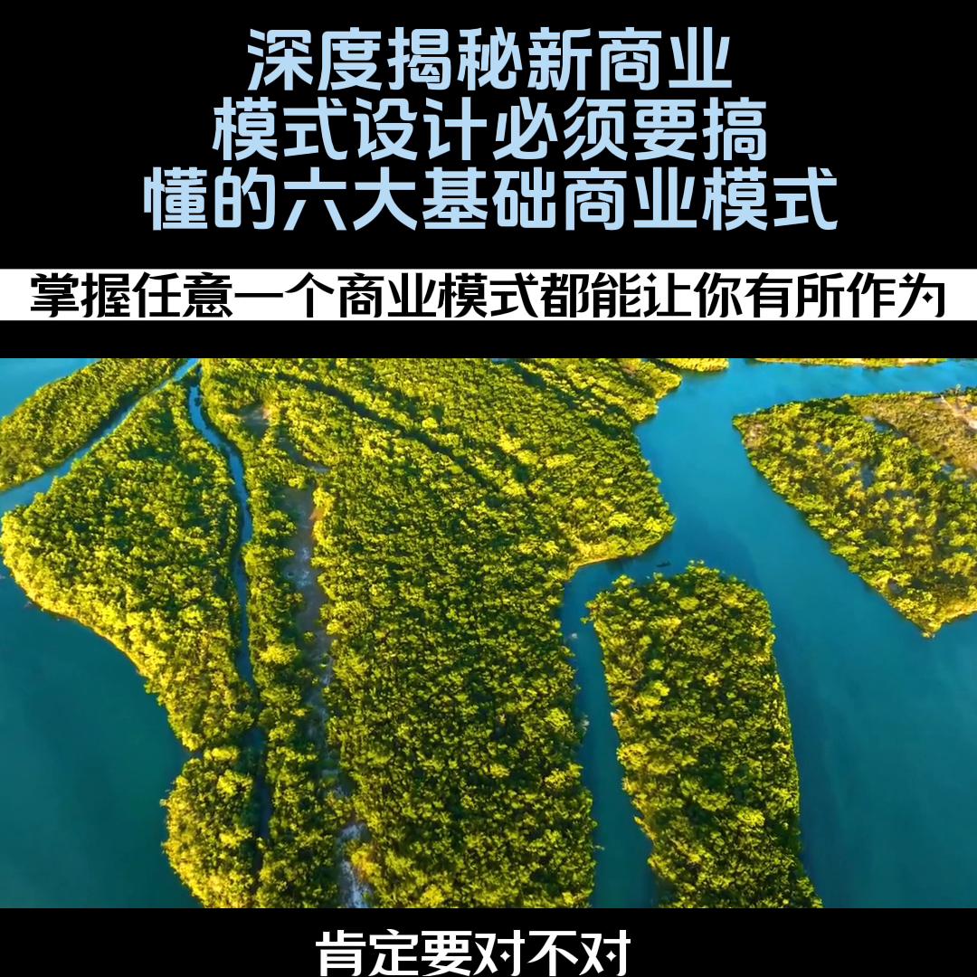 商业模式设计中的36个盈利模式,15种商业模式设计与盈利模式案例