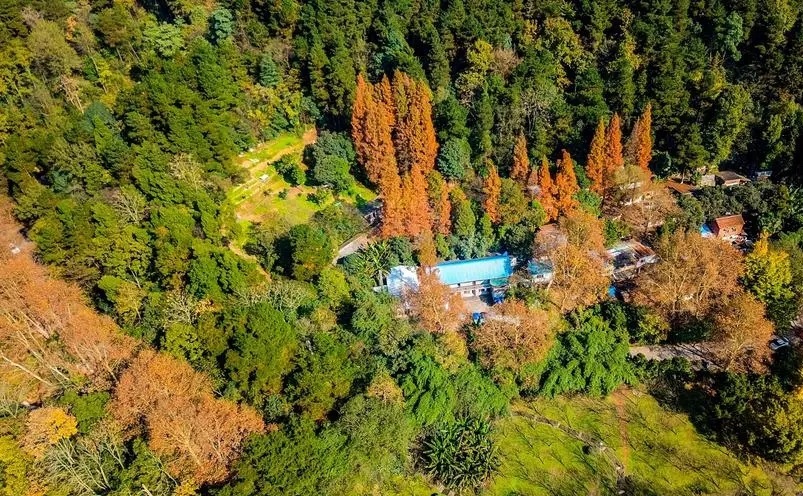 中国最美的十座山你去过了吗,中国最美的十大名山你爬过几座