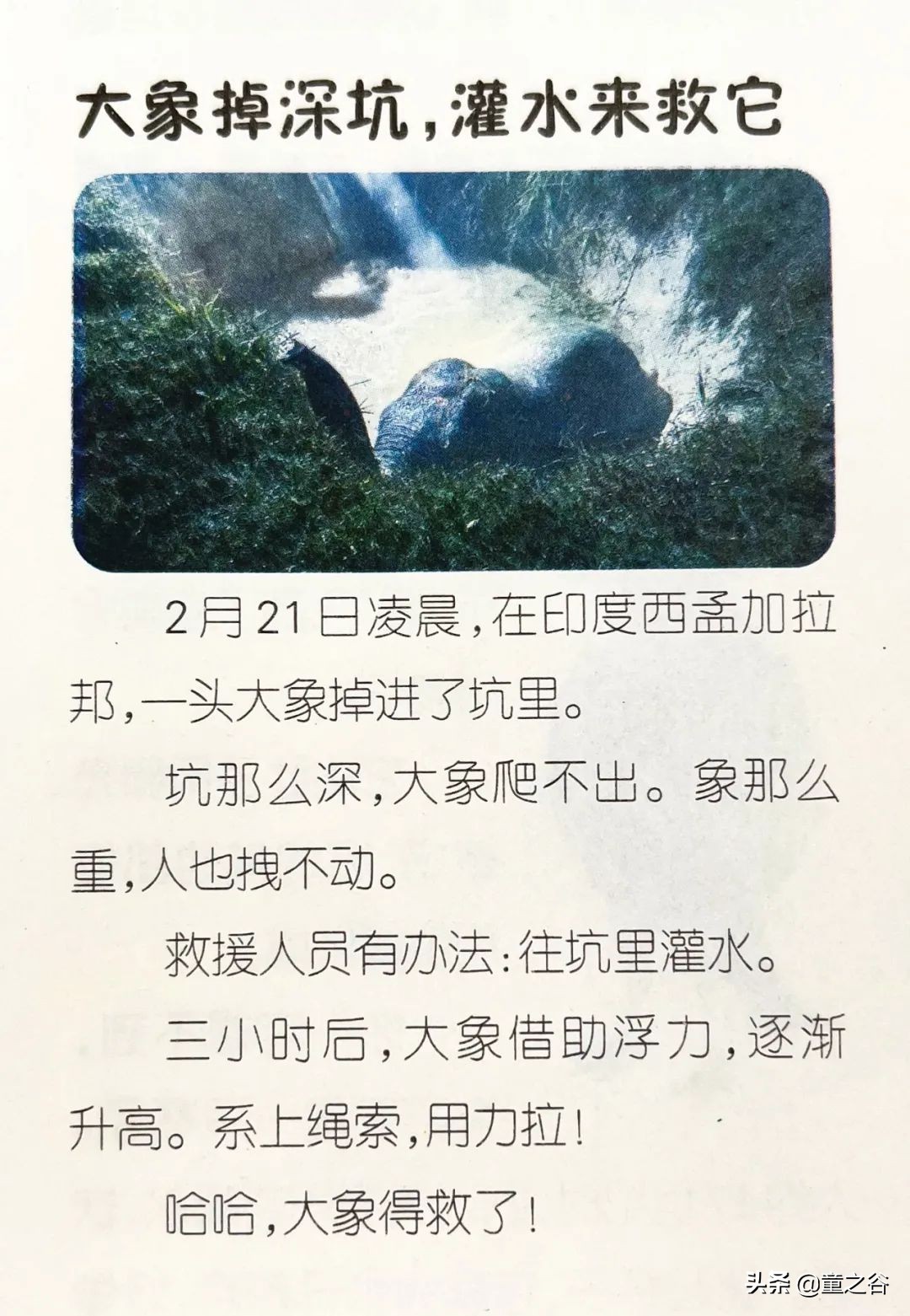 国内第一份新闻故事报,小学生也能轻松读懂时事热点