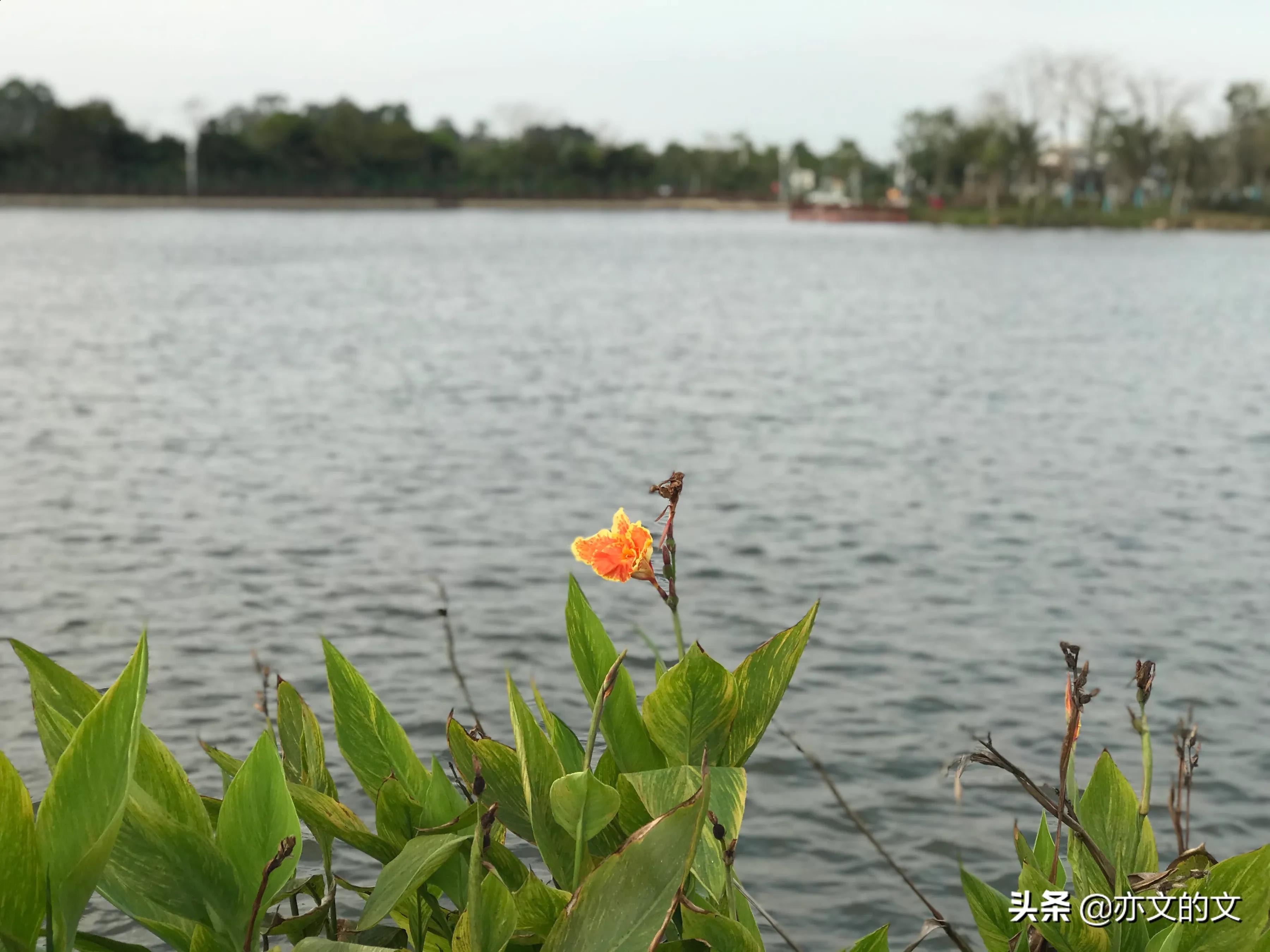 溥仪我的前半生解说,溥仪我的前半生版本