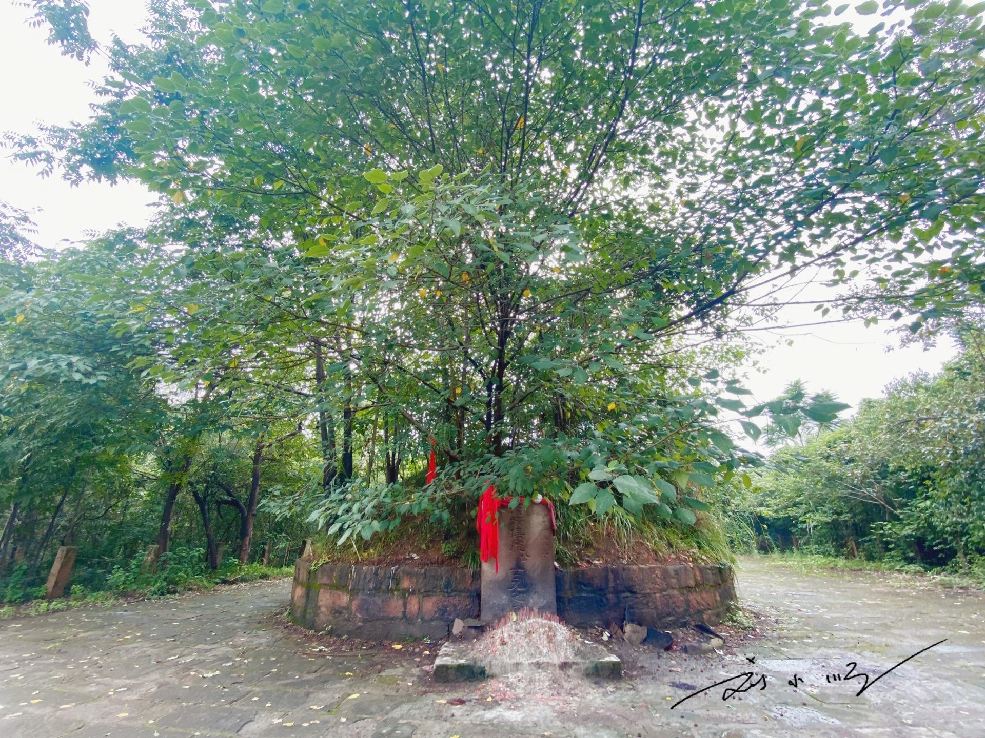 四川德阳四大古城,四川德阳有哪些名胜古迹