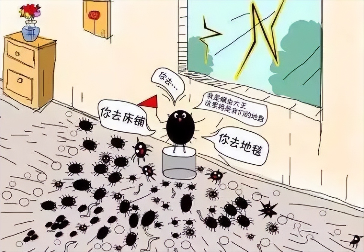 阴雨天怎么除螨虫,下雨天怎么杀死床单的螨虫