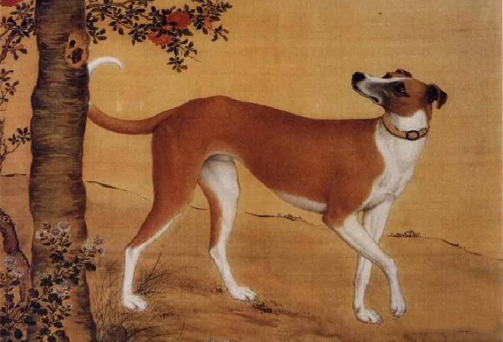 历史上乾隆的真实长相描述,乾隆真实容貌惊人