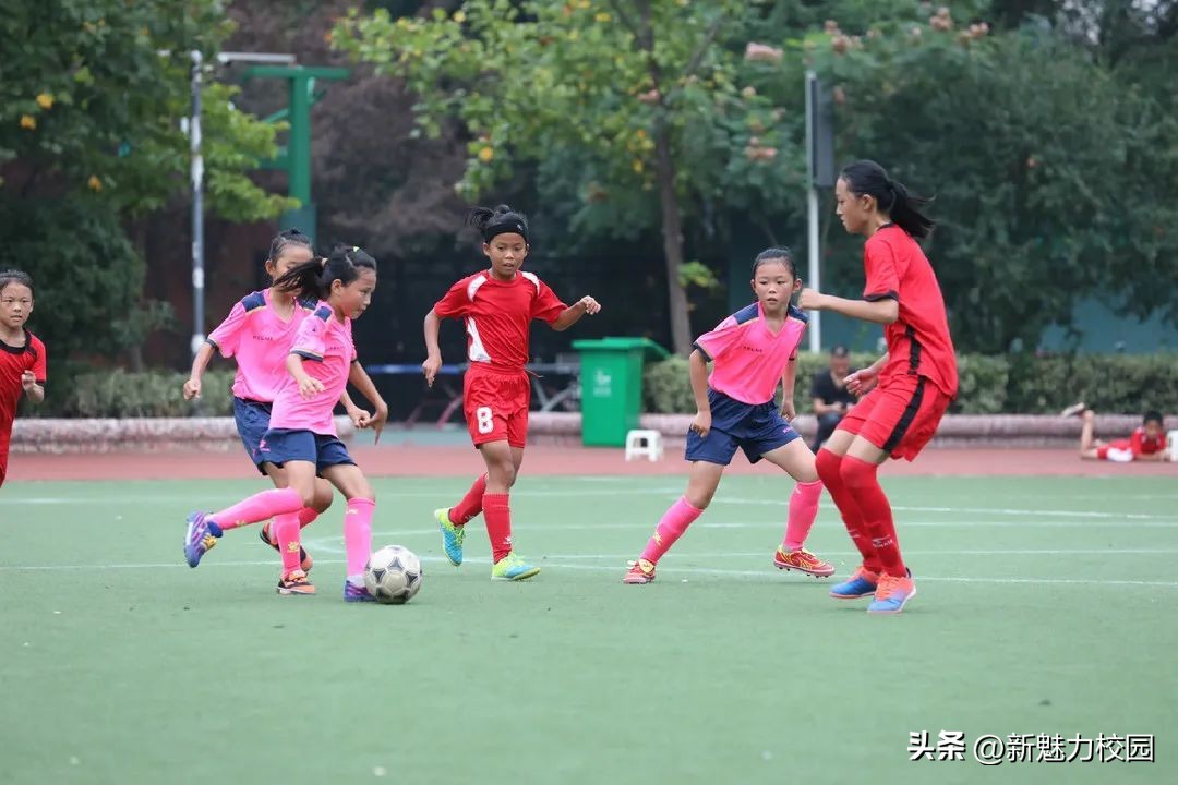 耕耘·我们的教育答卷——雨花台区学校特色与品牌系列报道4