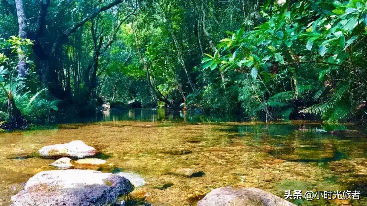 惠州度假温泉酒店推荐,惠州东南亚风格酒店