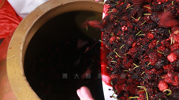 雅大酒业发酵技术,雅大果酒酿酒技术