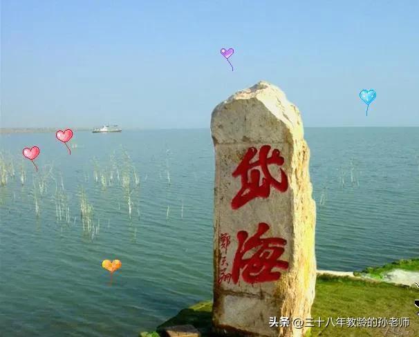 鸿茅药酒跨省抓捕前后对比,跨省抓捕鸿茅药酒最终结果