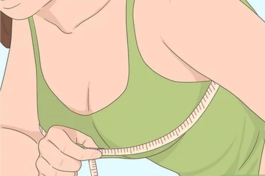 关于内衣内裤的绘本故事,有关于内衣的话题