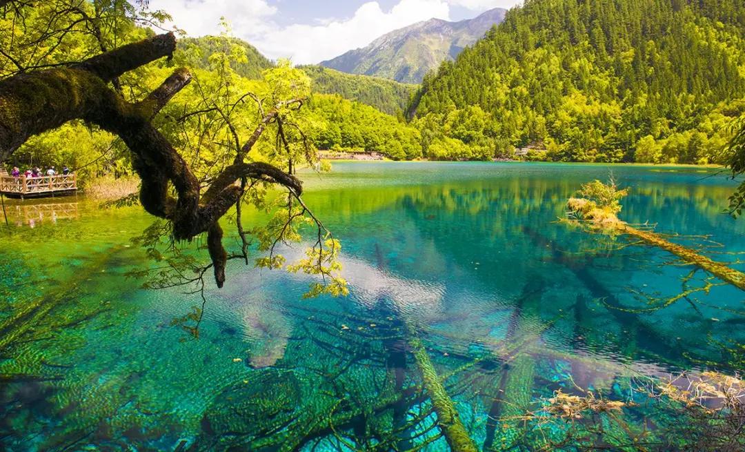 九寨沟是怎么恢复地震前的样子的,地震后的九寨沟风景怎么样了