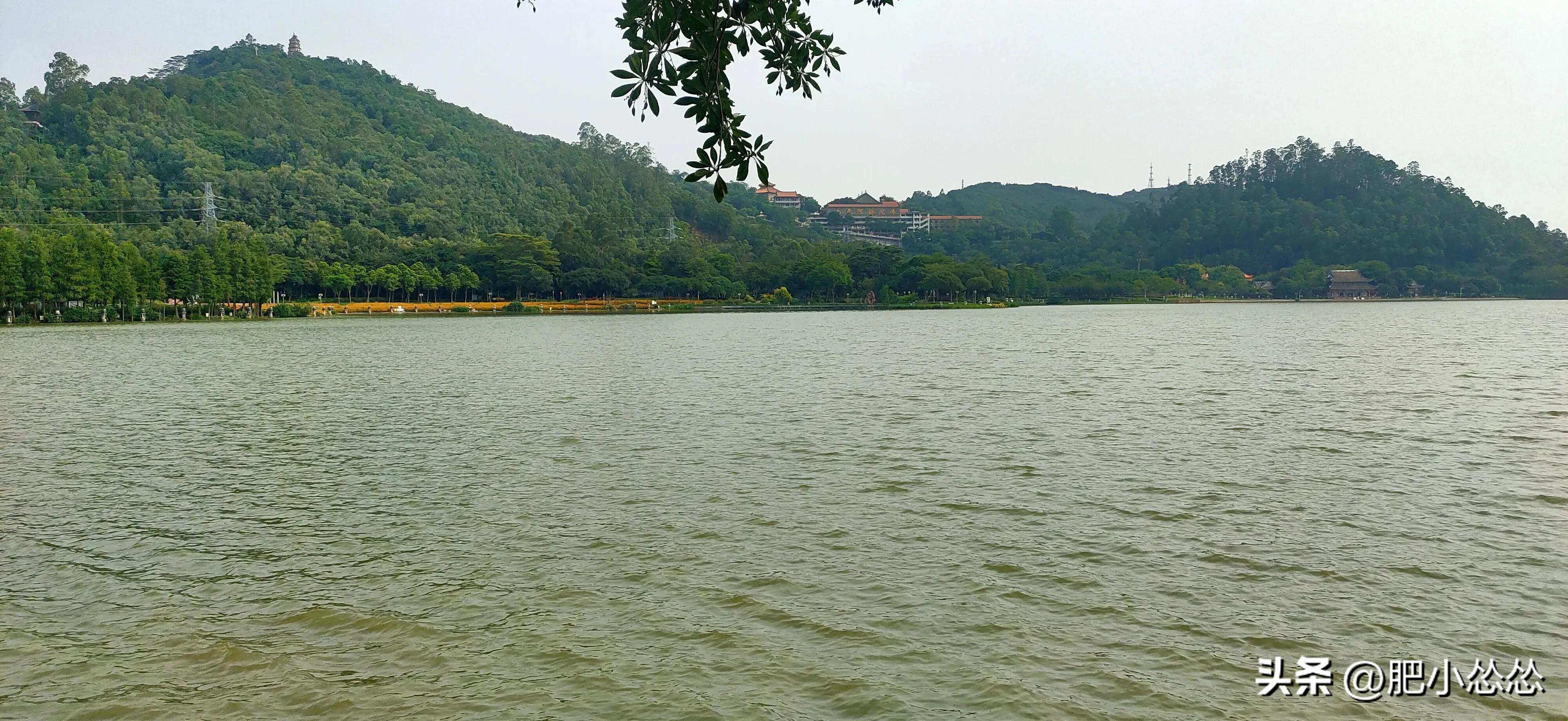 广州顺德攻略,广州去顺德的最佳路径