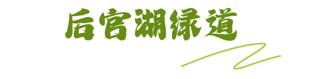 秋日暖阳骑行绿道,骑车绕城绿道值得打卡的推荐