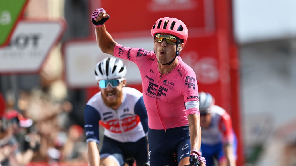 2019世巡车队,2021世巡赛各车队战车