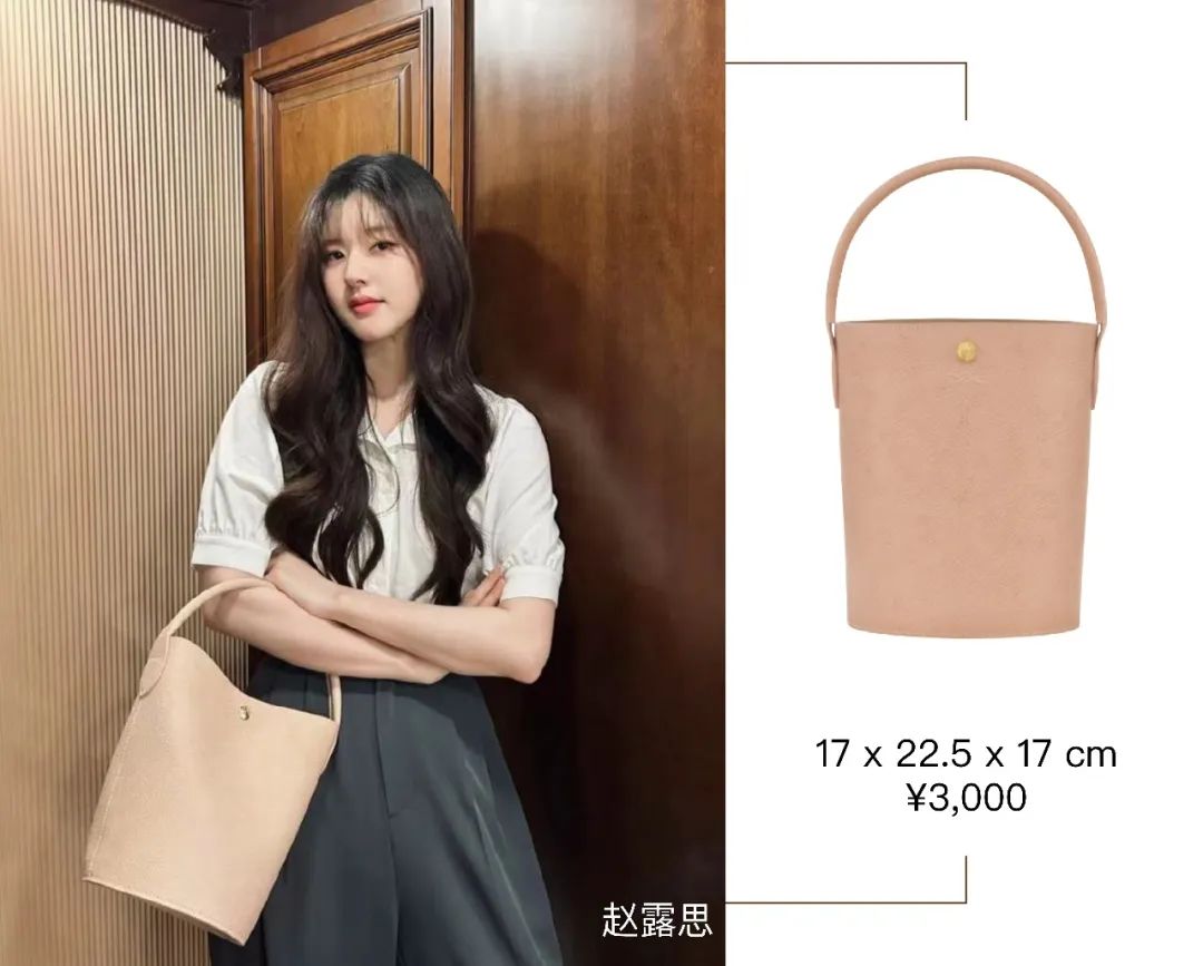 longchamp珑骧最新款包包报价,1000来块的包包