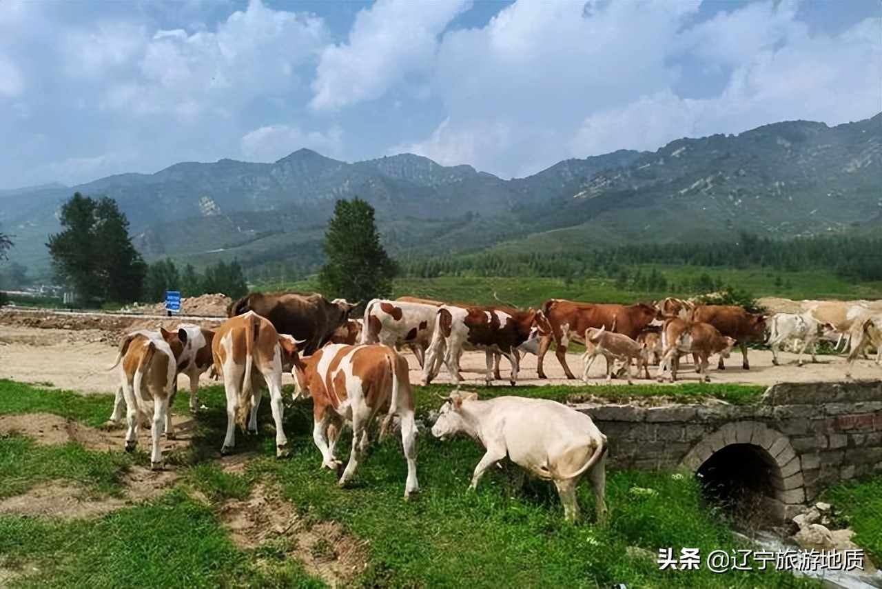 旅游山西古村落,山西新打造的古村空无游客