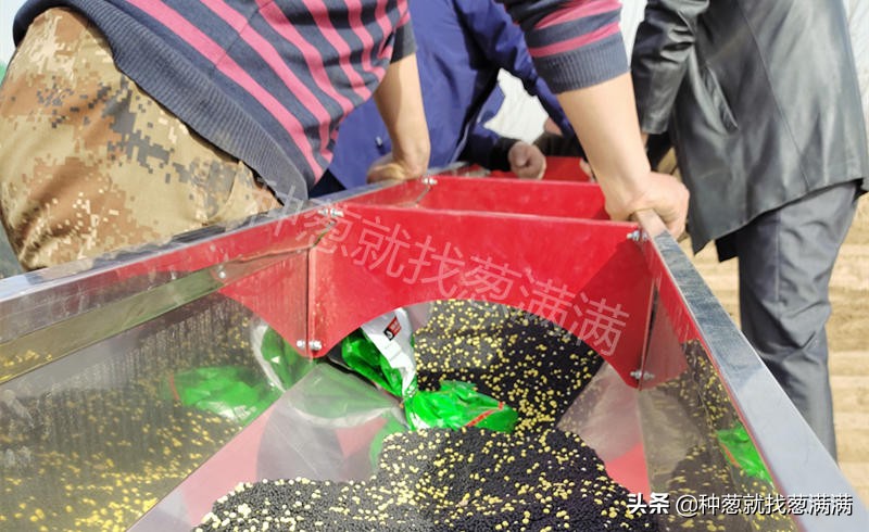 大葱生虫怎么防治,怎样预防葱的病虫害