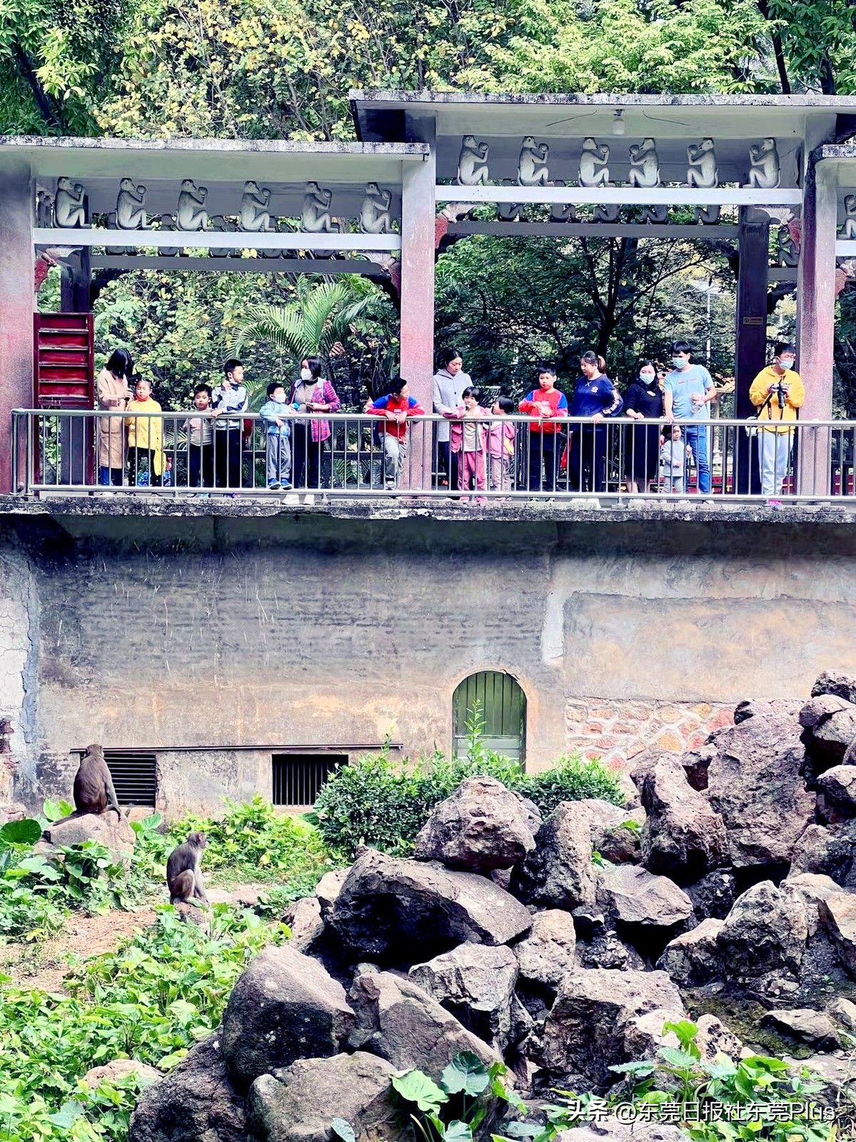 东莞人民公园真美,东莞人民公园故地重游