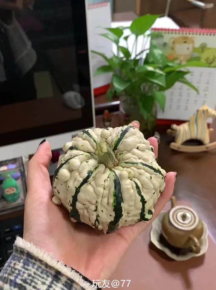 葫芦案真实案件,葫芦案事件始末