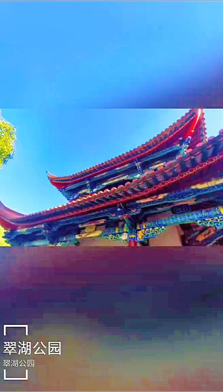 昆明西华公园海棠花,昆明市免费公园有几个