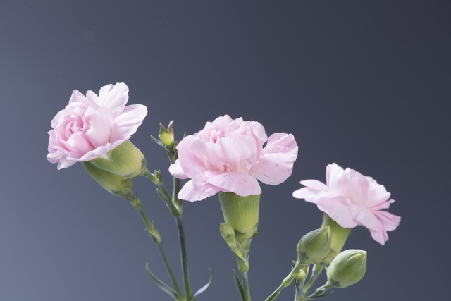 生活小妙招化妆小技巧外国,生活小妙招化妆小技巧