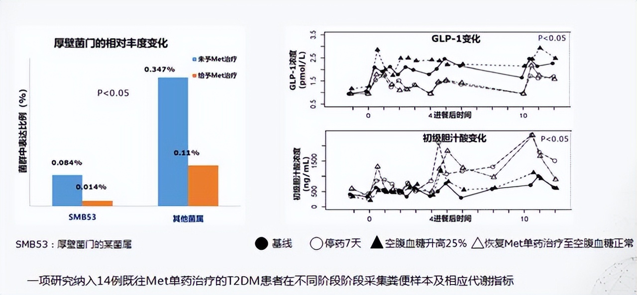 肠道菌群对糖尿病的影响,肠道有益菌对糖尿病的影响