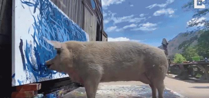 不要不相信，画了十年，或许还不如一头猪