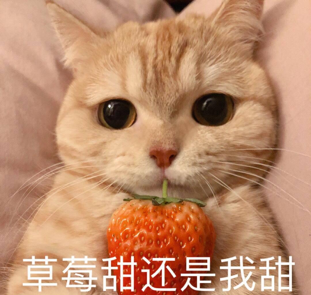 下班回来笑话大全,下班到丈母娘家的幽默笑话