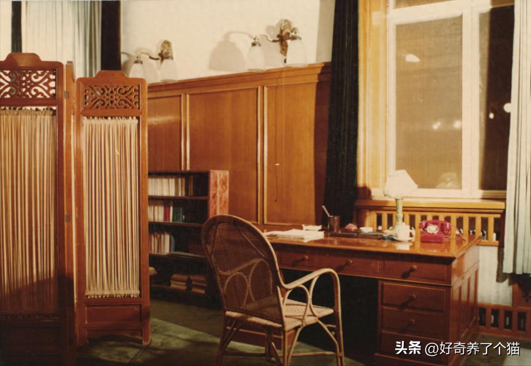 20张罕见图,最罕见的20张图片