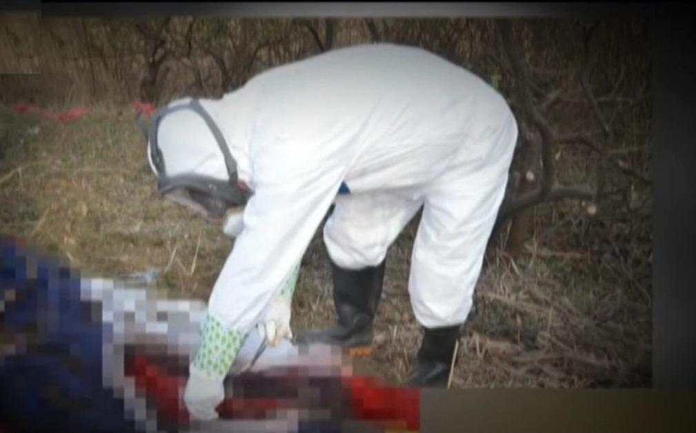 1992年，湖北夫妇因儿子被拐自杀，23年后，女儿强行给父母开棺